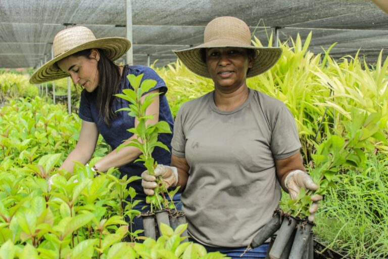 Governo do Acre é destaque nacional pela implementação de programas ambientais