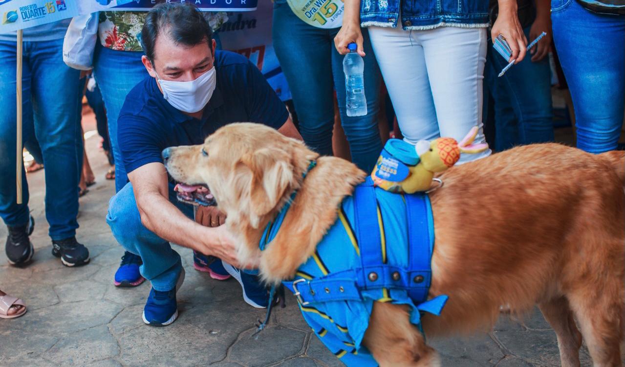 Lei no AC: quem maltratar animais terá que custear veterinário e pagará multa de R$ 2 mil