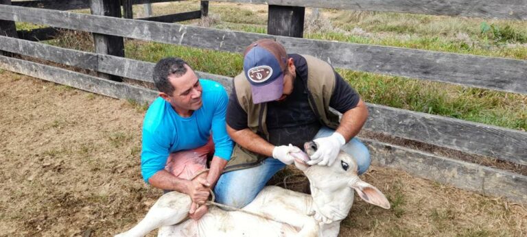 Cadastro de reserva do concurso do Idaf pode ser convocado após PL aprovado hoje na Aleac