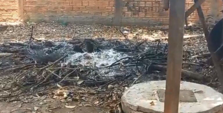 Mulher que matou e ateou fogo em homem é presa no escritório de advogado