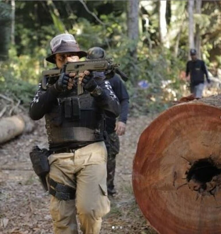 Trator e cerca de 700 m³ de madeira ilegal são apreendidos durante operação em Rondônia