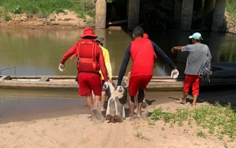 Haitiano cai de ponte em Assis Brasil e Bombeiros registram resgate: ‘Não sinto minhas pernas’
