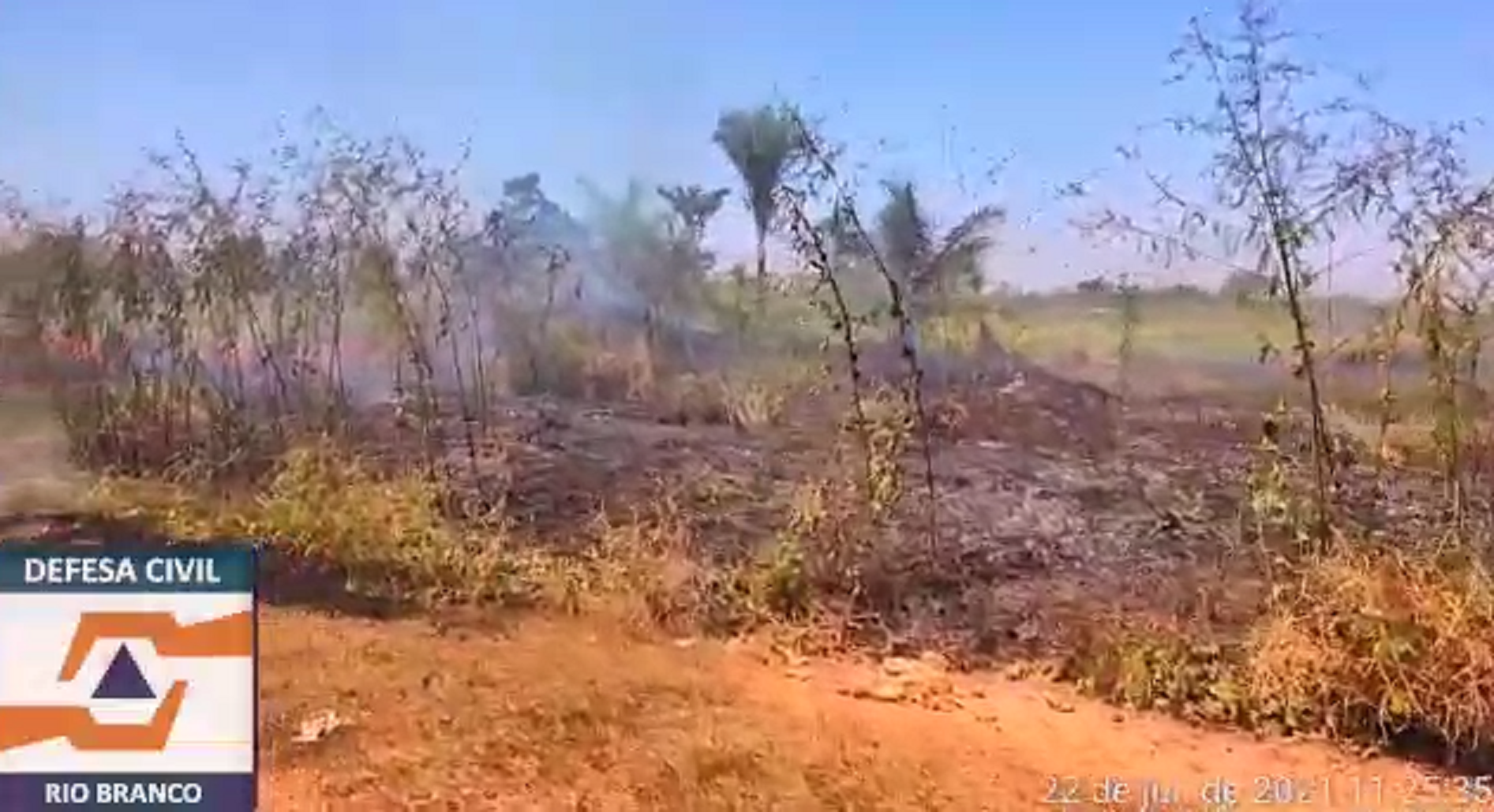 Incêndio é registrado em vídeo; Defesa Civil contabiliza 312 focos de queimadas em julho
