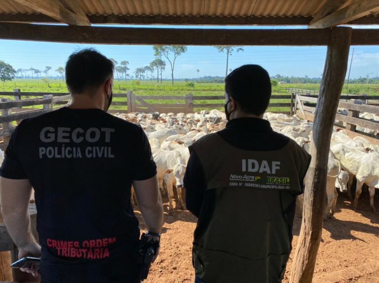 Servidor da Sefaz que estava envolvido em transporte ilegal de gado no AC se entrega à polícia