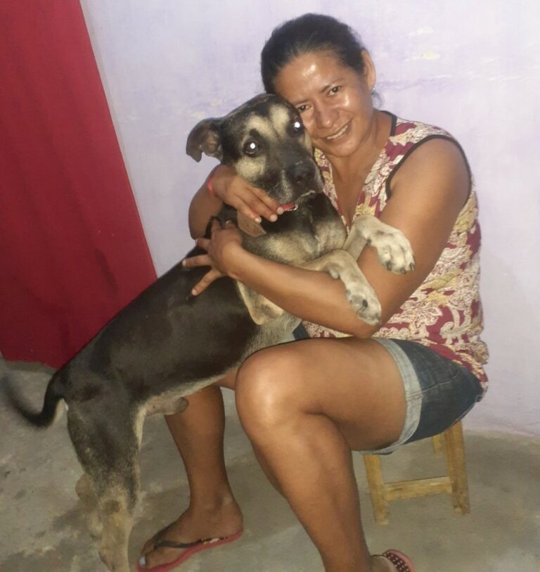 Cão que ficou um mês na porta de casa após dona se mudar de SP, viaja cinco dias para reencontrá-la no CE