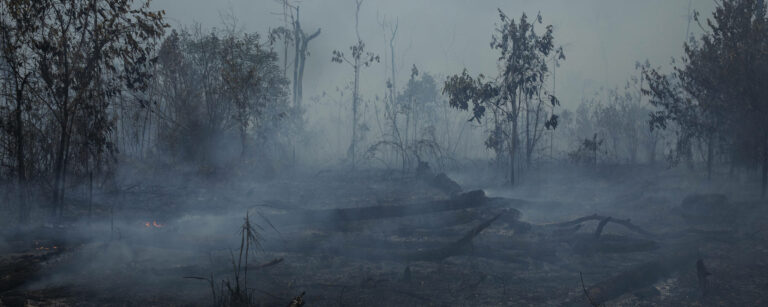 Acre registra mais de 200 focos de queimadas apenas nos primeiros dias de outubro, diz Inpe