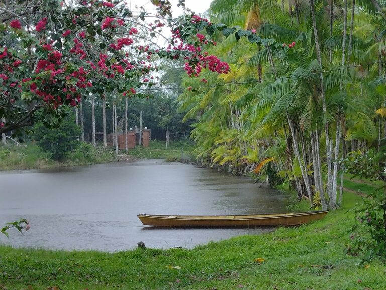 Fazenda em Rio Branco