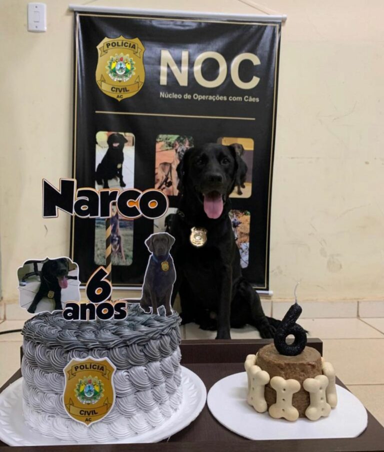 Com direito a bolo especial, cão policial Narco comemora 6 anos com festa na Polícia Civil do Acre