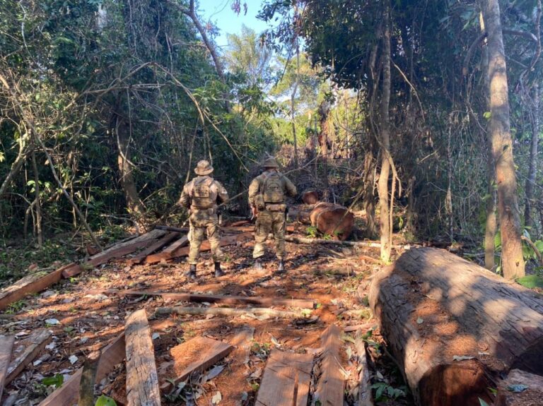 Polícia Federal investiga desmatamentos em áreas públicas e invasões no Alto Acre