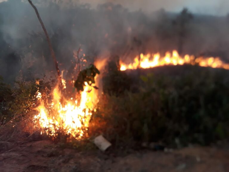 FOTOS: Moradores conseguem conter incêndio nas proximidades do Ifac, em Sena