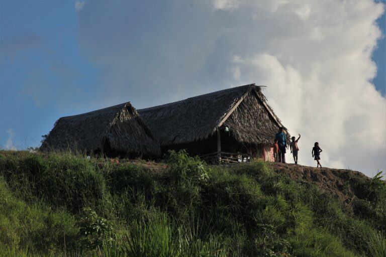 Especial Chandless – A terra do Tucinkae