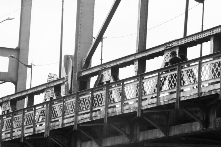 Ponte metálica de Rio Branco