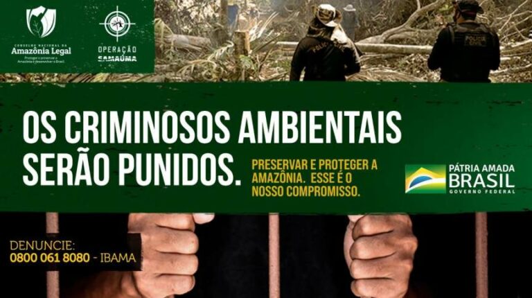 Operação do Governo Federal combate crimes ambientais na Amazônia Legal