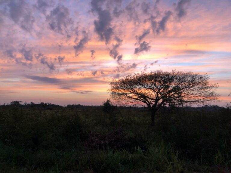 O amanhecer na BR-364