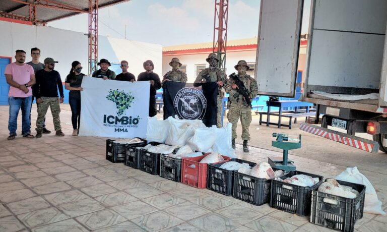 Operação da PF constata pesca irregular de pirarucu em rios do Amazonas, na fronteira com o AC