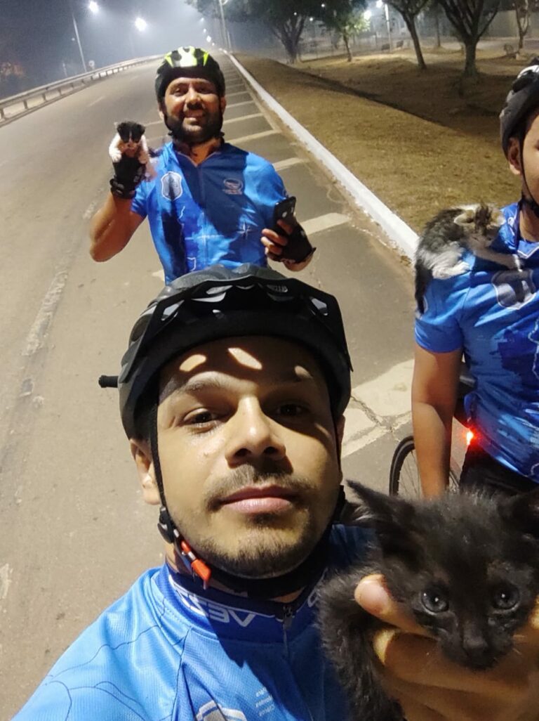 Pedal “miado”: grupo de ciclistas no AC resgata gatos abandonados na BR-364; veja vídeo