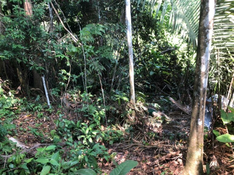 Em Feijó, tia é principal suspeita de matar sobrinho de 14 anos que teria estuprado sua filha de cinco