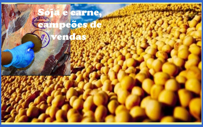 Produtos de Rondônia invadem o mundo: faturamento é de mais de 3 bi e 100 milhões em seis meses