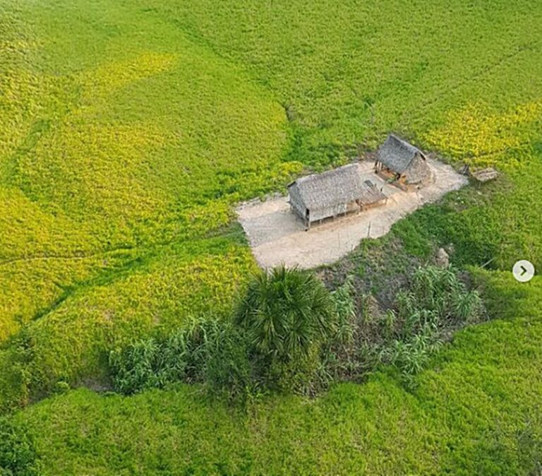 Com Covid-19, idoso que mora isolado e sozinho há 20 anos em floresta no AC é localizado
