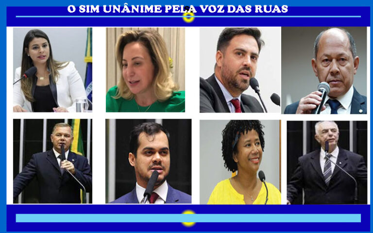 Voto impresso e auditável: saiba como votou a bancada de Rondônia