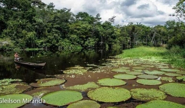 Escritor acreano diz que Croa foi o jardim de Adão e Eva: “Indecifráveis encantamentos”