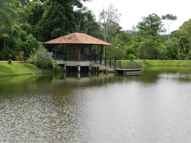 Mãe e filha de 9 anos são agredidas e abusadas durante piquenique no Horto Florestal, em Rio Branco