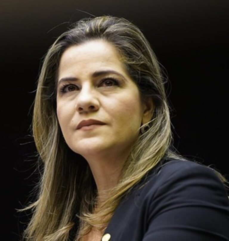 Blog do Ton: Bolsonarista de carteirinha, Mara Rocha pode ver MDB compondo com Ciro Gomes