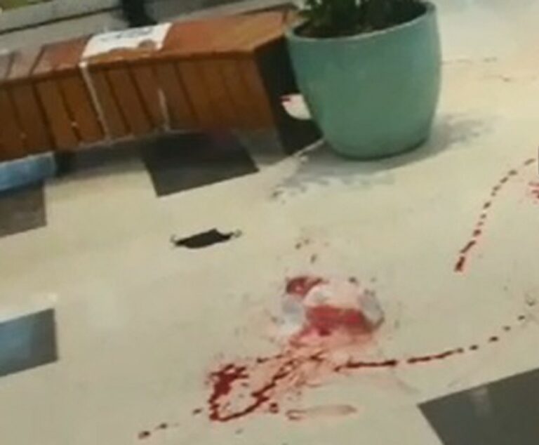 ‘Foi uma cena de terror’, diz cliente sobre assalto com tiroteio em shopping no Recife