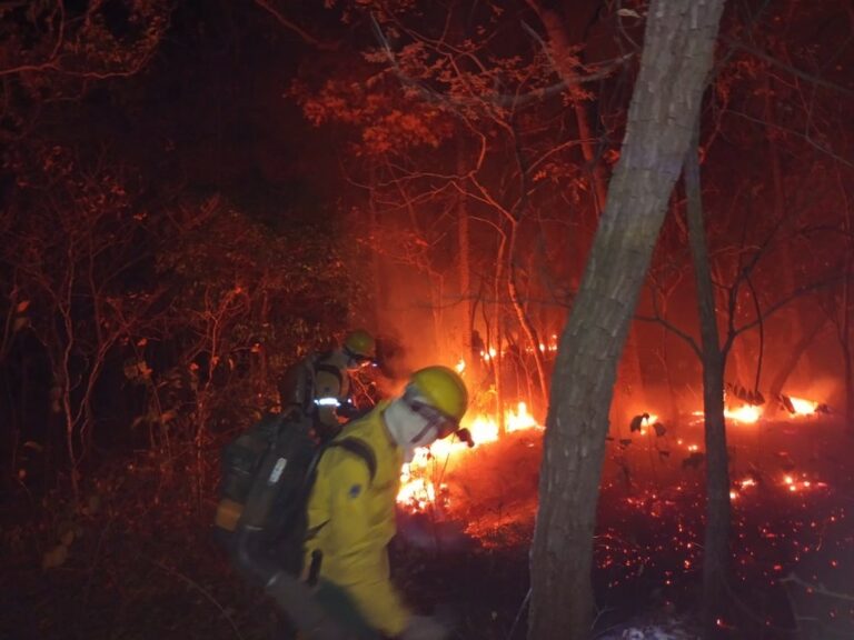 Bombeiros montam base em fazenda e atuam ‘dia e noite’ para combater fogo que se alastra no Pantanal