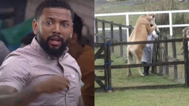 A Fazenda 13: Vaca monta em Nego do Borel em atividade com animais