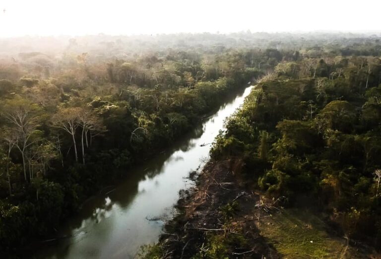 Amazônia: seis curiosidades sobre a maior floresta do mundo