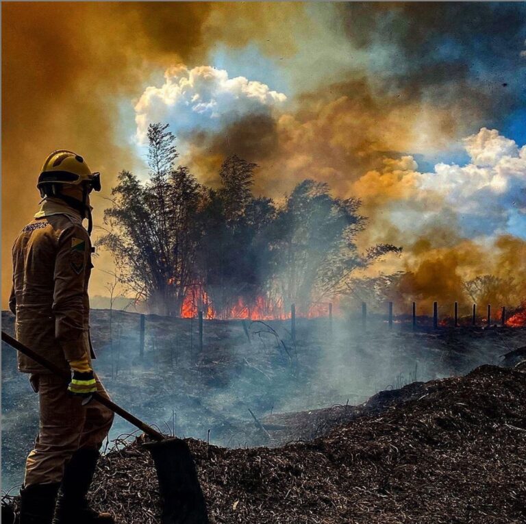 Leonardo DiCaprio compartilha foto de queimada feita por acreano sem dar os créditos