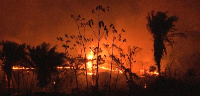 Pânico na Transacreana: incêndio de grandes proporções atinge área de mata; fotos e vídeo