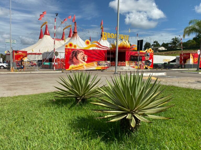 Dia das Crianças: ContilNet e Circo Broadway realizam sorteio com ingressos e combo especial; participe!