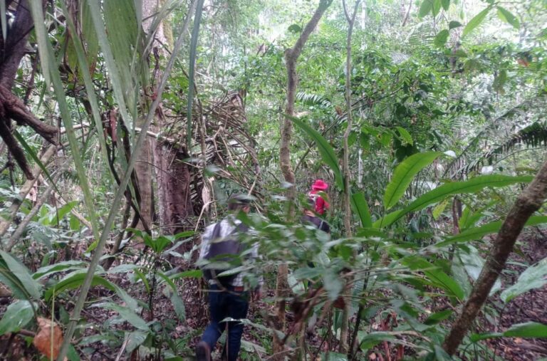 Homem está há mais de 20 dias sumido na mata no AC e família segue sem pistas