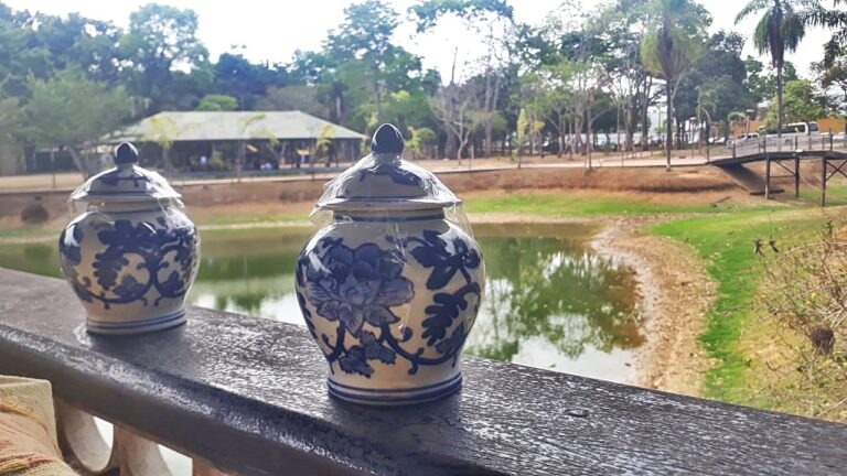 “Adeus, Dudu”: Amigos e familiares lançam as cinzas de Edunyra Assef em lago no Acre; confira