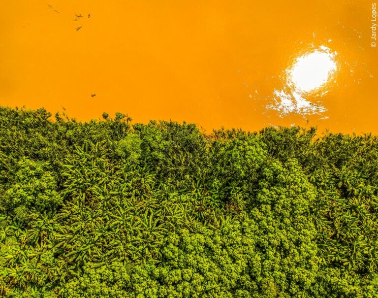 Vista aérea do Rio Muru, em Tarauacá