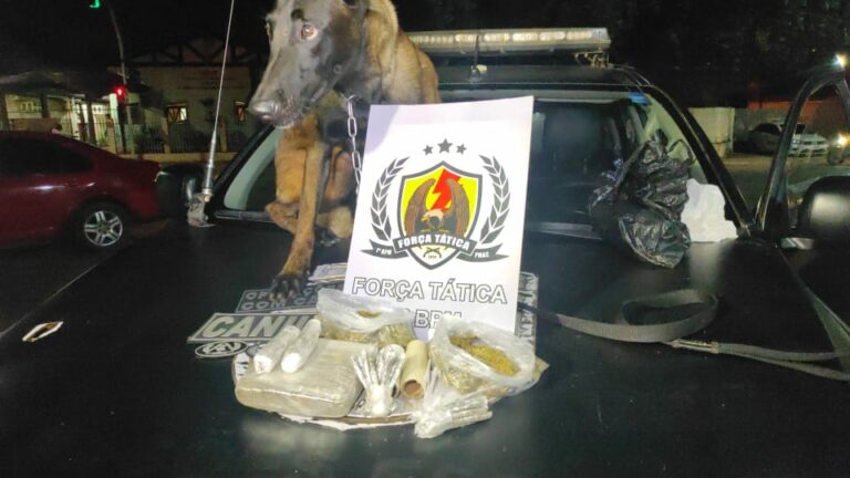 Com ajuda de cadela policial, PM apreende cerca de R$ 3 mil em maconha escondida em barranco do Rio Acre