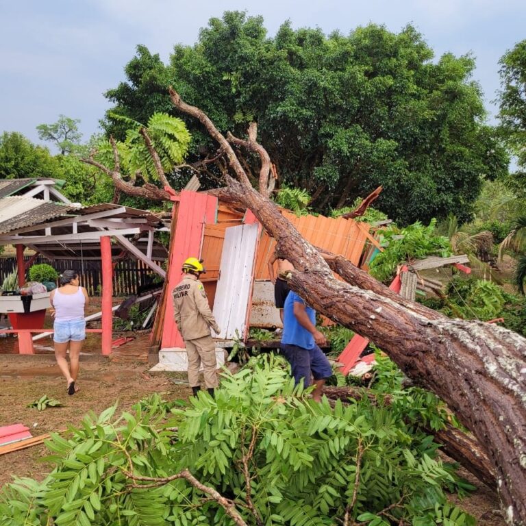 Após forte temporal, Corpo de Bombeiros atende ocorrências envolvendo queda de árvores