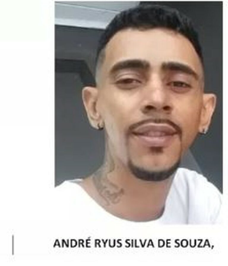 Último suspeito de participar da morte de mulher que defendeu marido e bebê se entrega à polícia