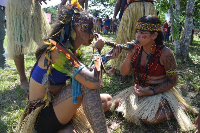 Embrapa diz que terra indígena no Acre deve começar a gerar créditos de carbono; entenda