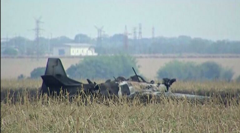 VÍDEO: Ao detectar falha, piloto se ejeta antes de aeronave militar cair sobre área de vegetação