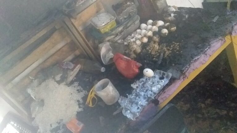 ‘Meus filhos quase morreram. Meu cachorro morreu’, desabafa mulher que perdeu quase tudo em incêndio