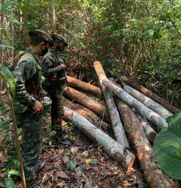 Exército apreende 703 m³ de madeira e aplica R$ 2,3 milhões em multas na fronteira do AC com RO