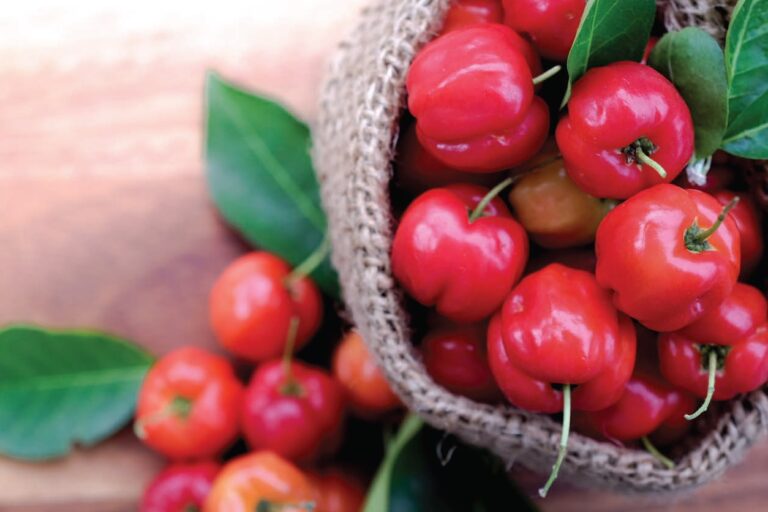 Acerola combate os sintomas da menopausa e do estresse; saiba mais