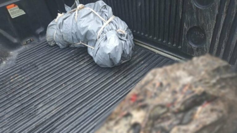 Corpo de pescador desaparecido é encontrado sendo devorado por jacaré