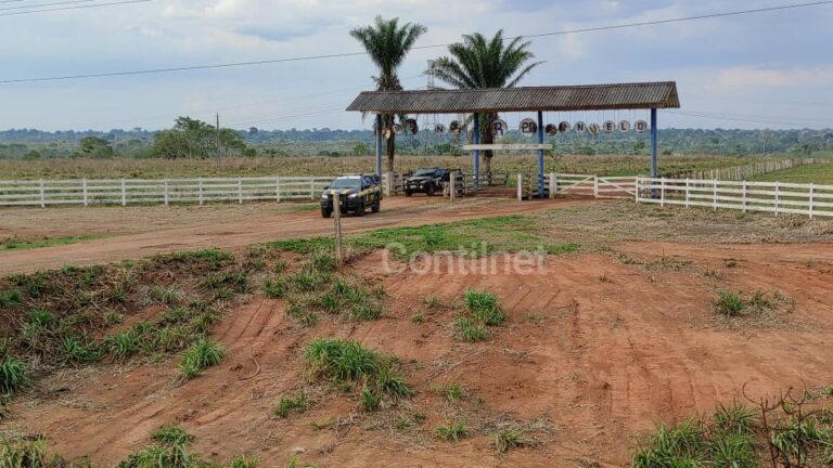 Criança de 9 anos tentar atravessar rodovia, em Senador Guiomard, e morre após ser atropelada