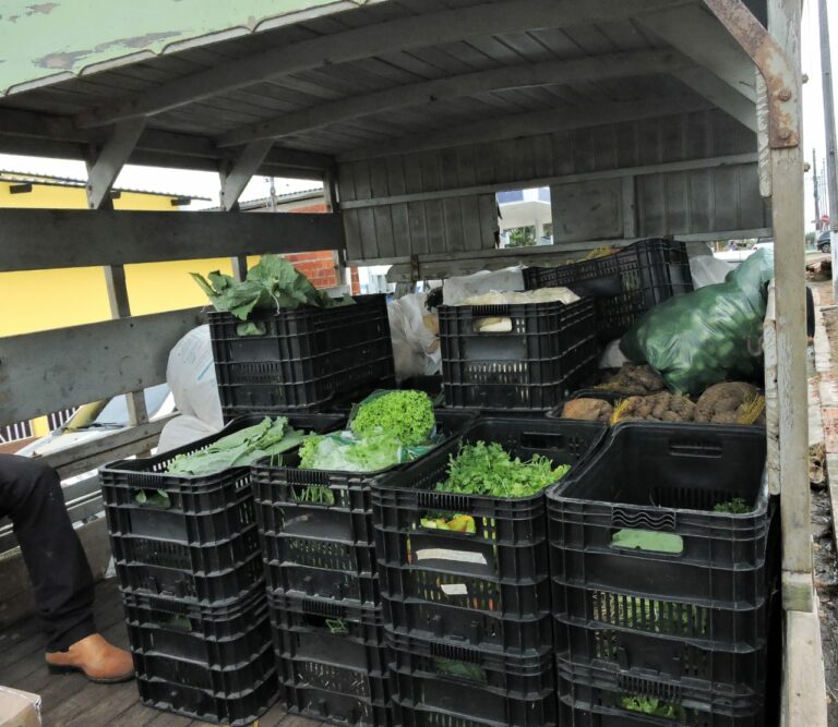 Estado entrega 42 toneladas de alimentos a produtores rurais e famílias carentes do Juruá