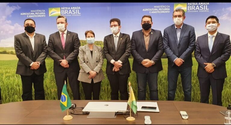 Alan Rick e Gladson se reúnem com a ministra da Agricultura e garantem apoio para o agro acreano