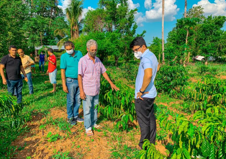 Jenilson apresenta PL que propõe a expansão da cultura do açaí no Acre: “Podemos mudar a perspectiva dos produtores”